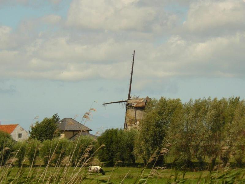 Machuytmolen