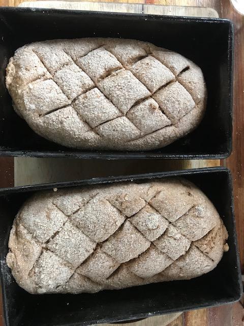 klaar om in de oven te gaan