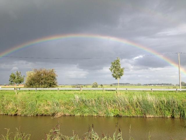 regenboog