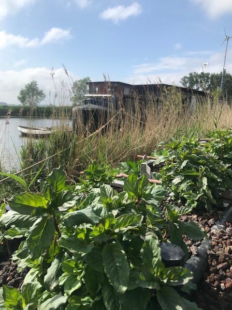 Waterzuivering de BOOT