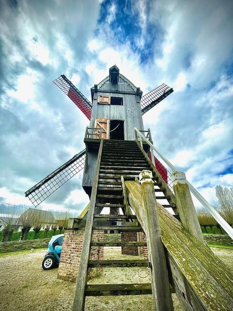 molen trap